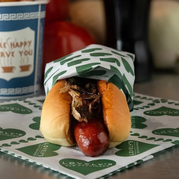 A hot dog with caramelized onions and ketchup in a bun, wrapped in Lovely's Old Fashioned paper.
